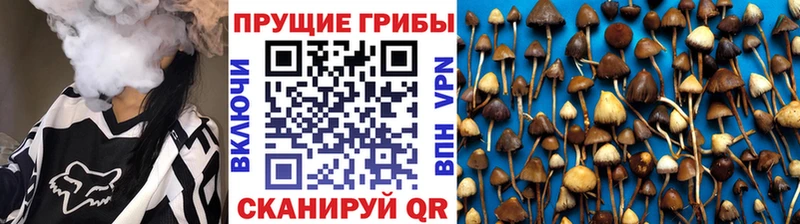 Псилоцибиновые грибы ЛСД  Купить закладки  Могоча 